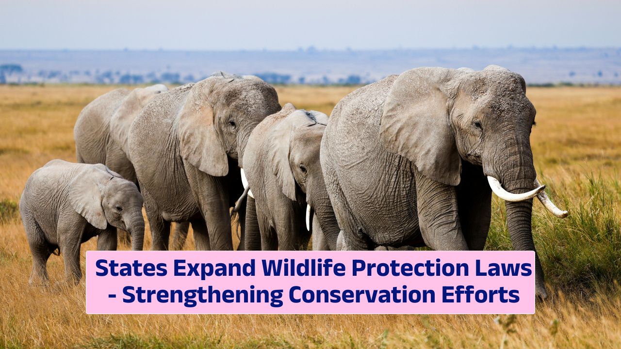 wildlife protection measures